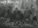 Кадр видео