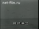 Footage frame