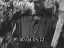 Footage frame