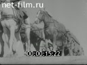 Footage frame