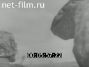 Footage frame
