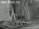 Кадр видео