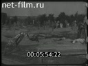 Footage frame