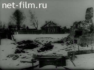 Киножурнал Киноотчет из Генерал-Губернаторства №24497 (1943)