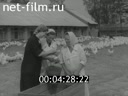 Кадр видео