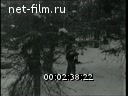 Кадр видео