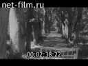 Footage frame