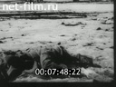 Footage frame