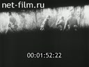 Footage frame