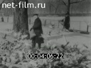 Кадр видео