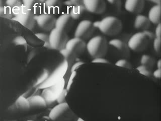 Newsreel Aus Dem Generalgouvernement Filmbericht №9393 (1941)