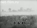 Footage frame