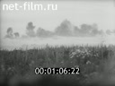 Footage frame