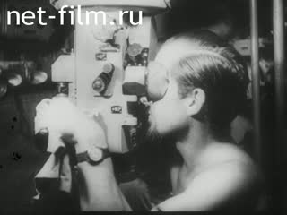 Киножурнал Дойче Вохеншау №648 (1943)