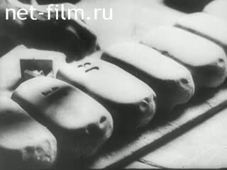 Киножурнал Дойче Вохеншау №667 (1943)