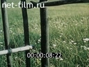 Footage frame