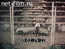 Footage frame