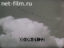 Кадр видео