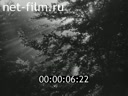 Footage frame