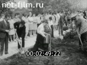 Кадр видео