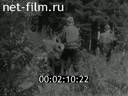 Кадр видео