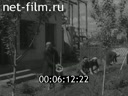 Кадр видео