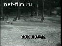 Кадр видео