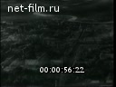 Новости дня / хроника наших дней №2-1959