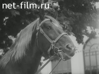 Киножурнал Джорнале Люче №292 (1942)