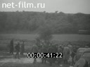 Кадр видео