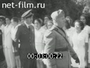 Кадр видео