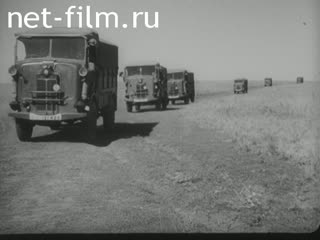 Киножурнал Джорнале Ди Гуэрра №295 (1942)