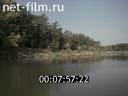 Кадр видео