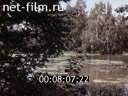 Footage frame