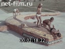 Кадр видео