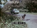 Кадр видео