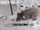 Кадр видео