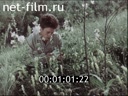 Кадр видео