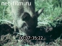 Footage frame