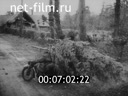 Кадр видео