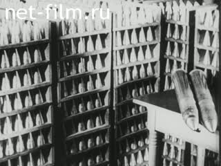 Киножурнал Дойче Вохеншау №612 (1942)