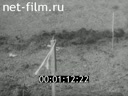 Footage frame