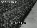 Footage frame