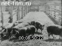 Footage frame