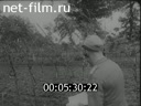 Footage frame