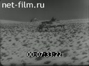 Footage frame