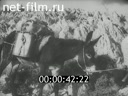 Footage frame