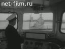 Foreign newsreels №4871