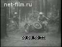 Кадр видео