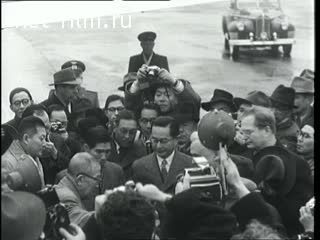 Newsreel Daily News / A Chronicle of the day №41-1956 (1956)